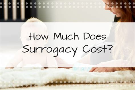 surrogatmamma usa kostnad|How Much Does Surrogacy Cost in USA